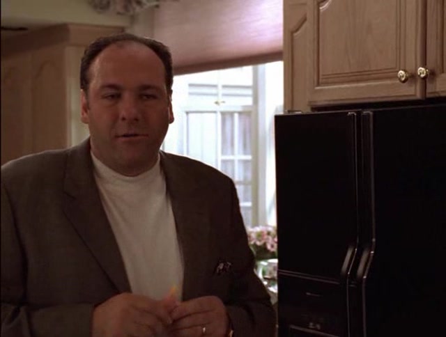 les soprano S01E10