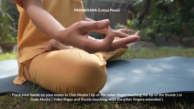 PITTA Balancing in 10 Minutes a Day with PADMASANA Lotus Pose