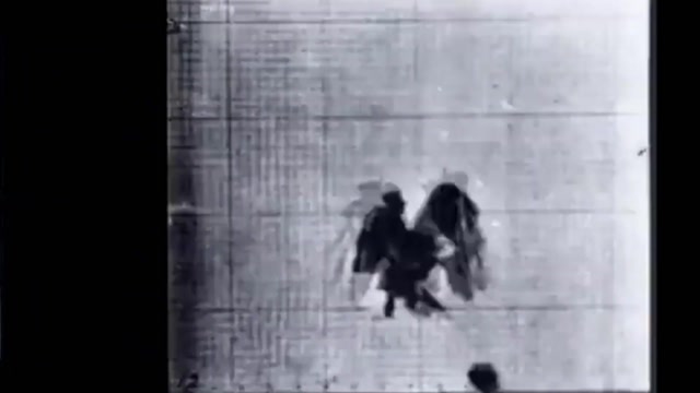 American Eagle Flying Near Ground (1887) Eadweard Muybridge