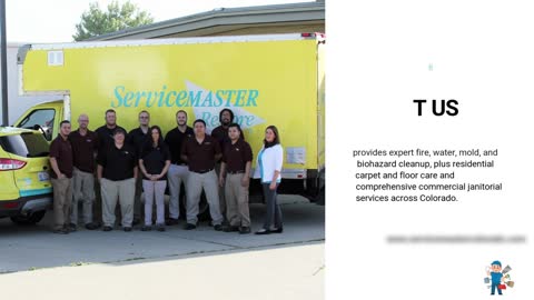 Refresh Your Furniture with Professional Upholstery Cleaning 