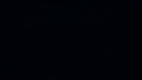 VID_20260219_184555b listen to Coco Chanel and big guy for me please