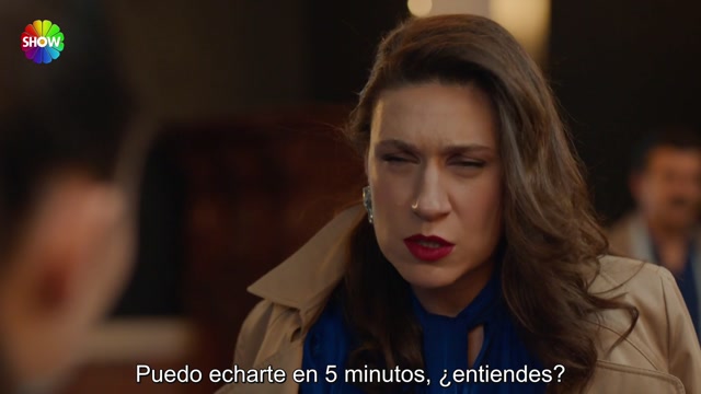 SYK - Capitulo 28