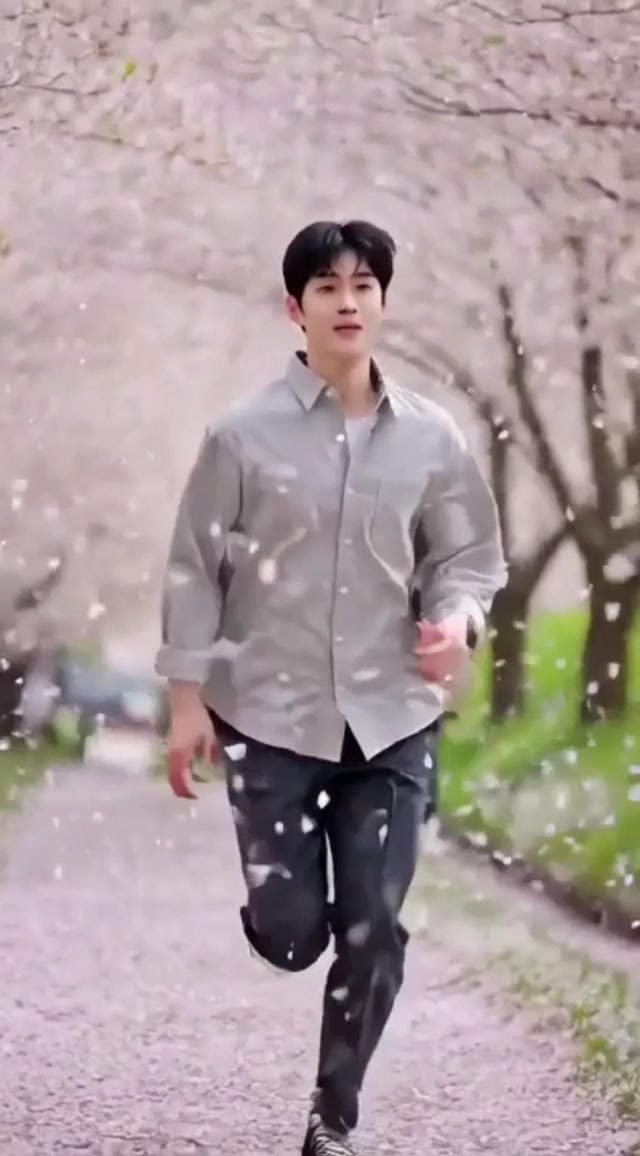 On the Day Cherry Blossoms Scatter 🌸