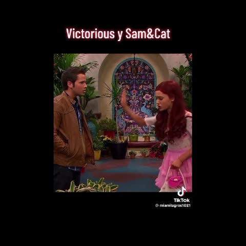 sam e cat