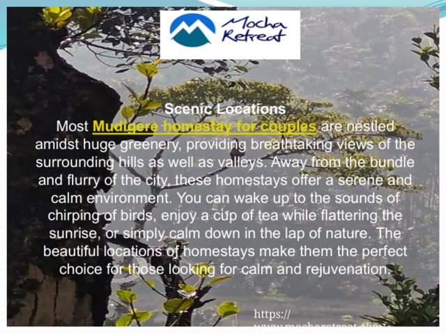homestay in mudigere
