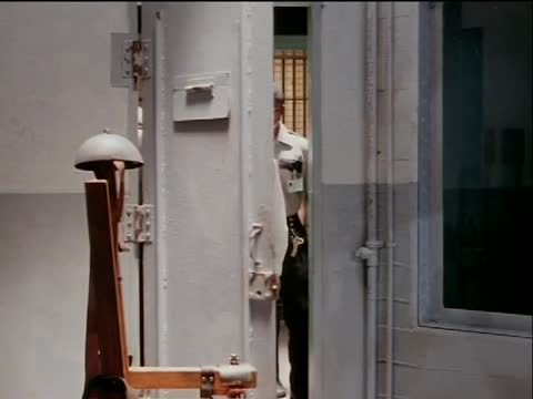 Somebody Has to Shoot the Picture (1990).