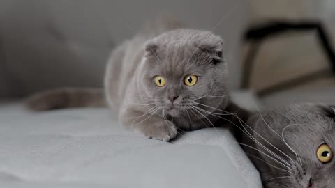 inny niż inni - miszcz i maugożata